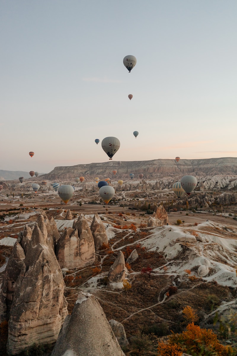 Photo by Igor Sporynin a group of hot air balloons in the sky